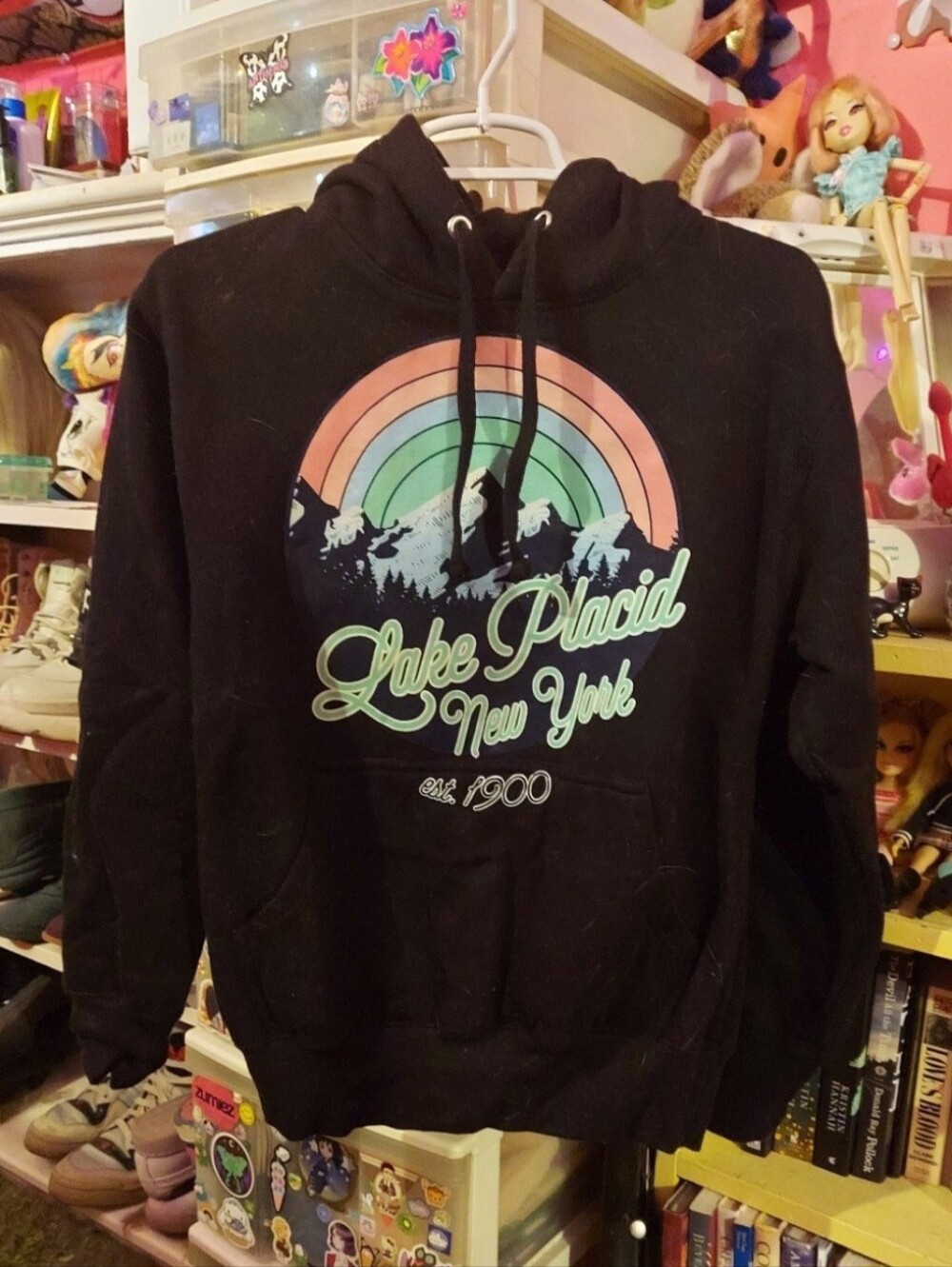 Pastel rainbow lake placid graphic on black pull over hoodie